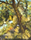 2007-07-08Wald