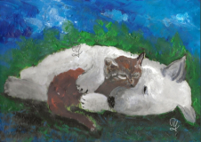 2019-03-04Hund-und-KatzB