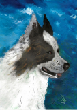 2019-11-13DavidB