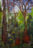 2022-05-28Sonne-im-Wald_kl