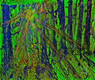 2022-09-23-Gruener-Wald_50x60_kl