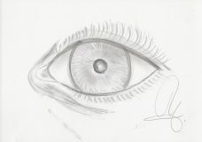 2020-06-10-Auge