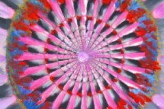 46_06_26-Zielscheibe