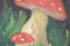 47_03_04Fliegenpilze