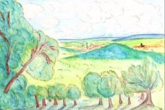 48_11_16Breitenholz