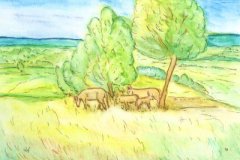 49_01_02KueheaufderWeide