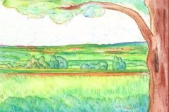 49_01_12BlickueberKochart