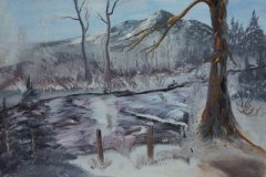 50_01_21FlussimWinter