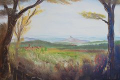 50_04_26BlickvomSchoenbuch