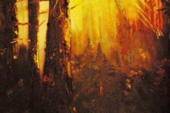 50_05_01MorgenImWald