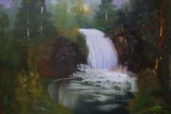 50_06_29Waldwasserfall