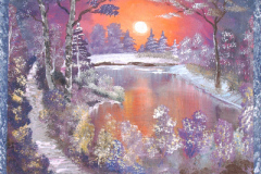 2010-02-10WinterabenamSee