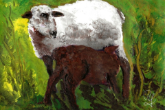 2019-01-25Mama-und-Baby-SchafB