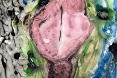 2019-02-26V-BlumeB
