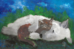 2019-03-04Hund-und-KatzB