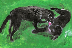 2019-03-07Mara_ToskaB