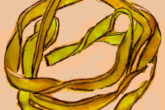2021-06-13Goldschmuck2