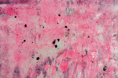 2021-07-02Rosa_kl