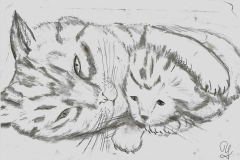2021-10-13Katzenmama-mit-Baby-Kopie