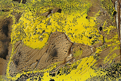 2021-10-16_Gold_08