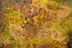 2021-10-22_Gold-09