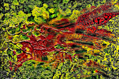 2021-10-25_Gold-03