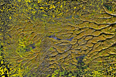 2021-10-27_Gold-01
