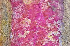 2022-01-08Violett-mit-Goldrand_kl