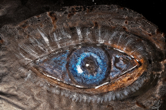 2022-02-26Auge_kl