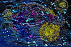 2022-08-04Blaue-Sterne_50x70_kl