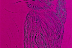 2022-08-27-Katze-mit-Wespe-42x30-kl