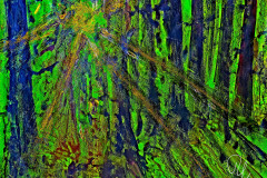 2022-09-23-Gruener-Wald_50x60_kl