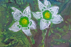 2024-01-08-Schneerosen-35x50-kl