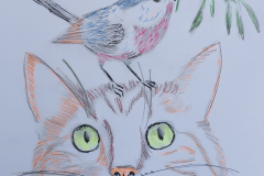 2024-02-06-Katze-mit-Vogel-Zeich.-DINA4-kl