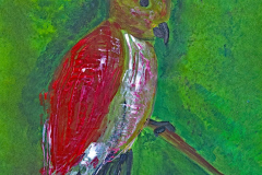 2024-03-23-Der-Specht-35x50-kl