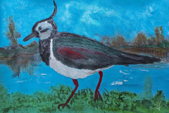 2026-03-16-Kiebitz-35x50-kl-Kopie