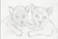 2020-06-05-Zwei-Katzen
