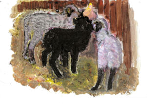 2019-01-26-drei-kleine-Schafe